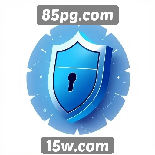 Avaliação da segurança em transações no 85pg.com